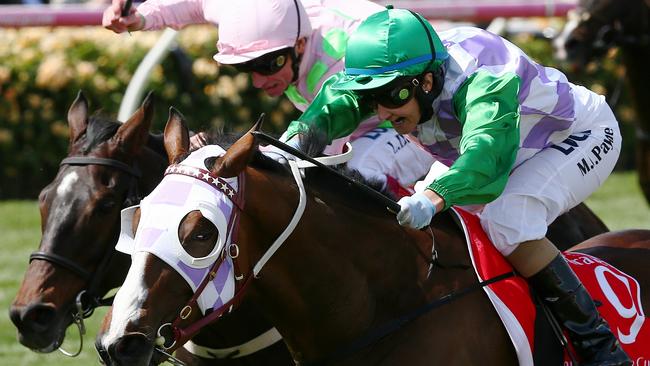 Dettori aboard Max Dynamite in the 2015 Melbourne Cup won by Michelle Payne and Prince Of Penzance. Picture: George Salpigtidis