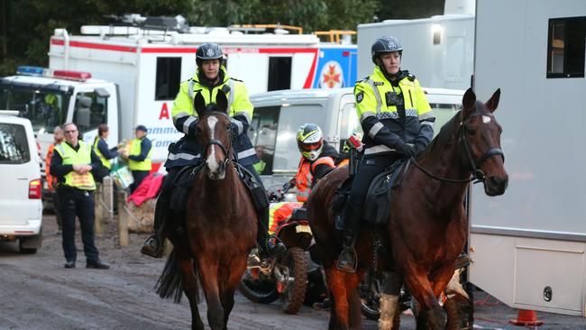 Mounted officers during the search. Picture: David Crosling