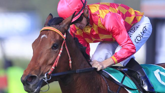 Steel Diamond can kick off her campaign with a win at Kensington on Wednesday. Picture: AAP Image