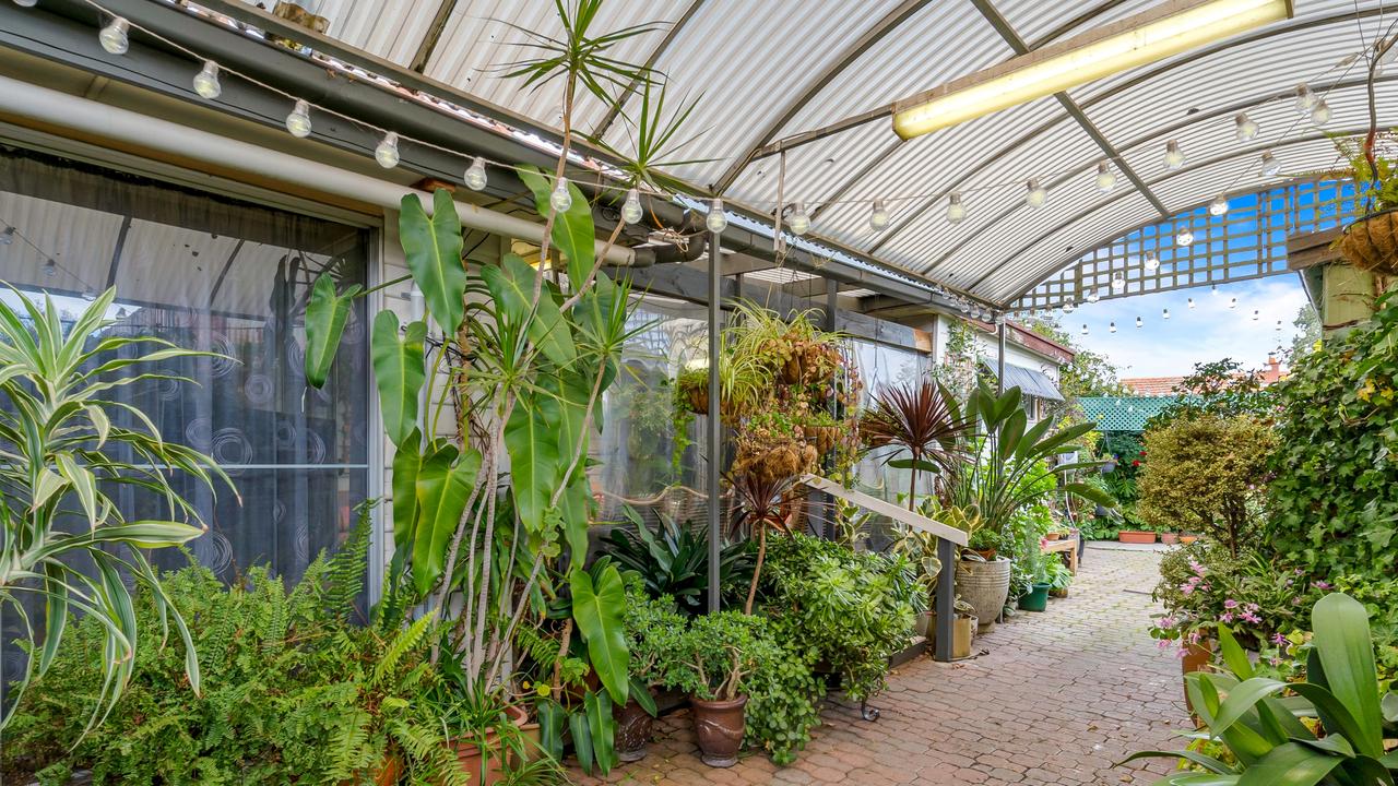 The shed and plants around the property.