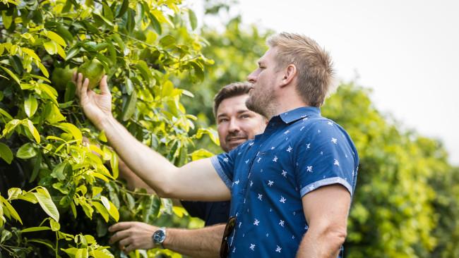 Tropical Fruit World, NSW: Everything you need to know | escape.com.au