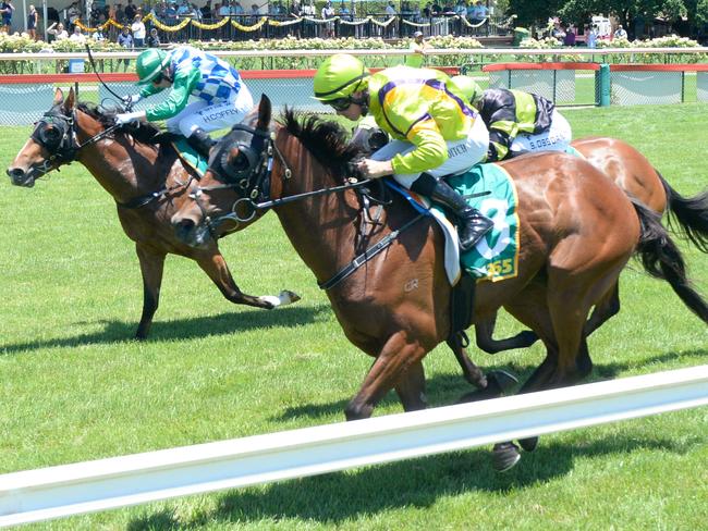 Gunboat ridden by Joe Bowditch wins the bet365 Maiden Plate at Bendigo Racecourse on December 15, 2024 in Bendigo, Australia. (Photo by Brett Holburt/Racing Photos via Getty Images)