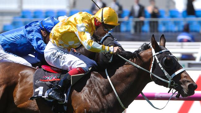 Comin’ Through looks set for a big autumn campaign. Picture: Ian Currie