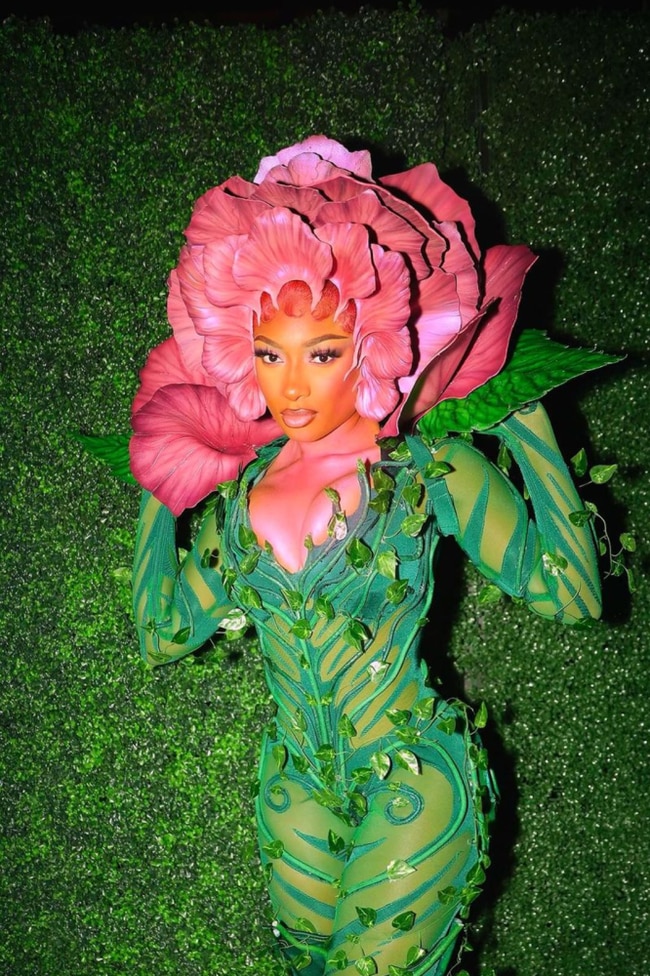 Image credit: Instagram.com/megantheestallionMegan Thee Stallion as a Tim Burton's Alice in Wonderland talking flower