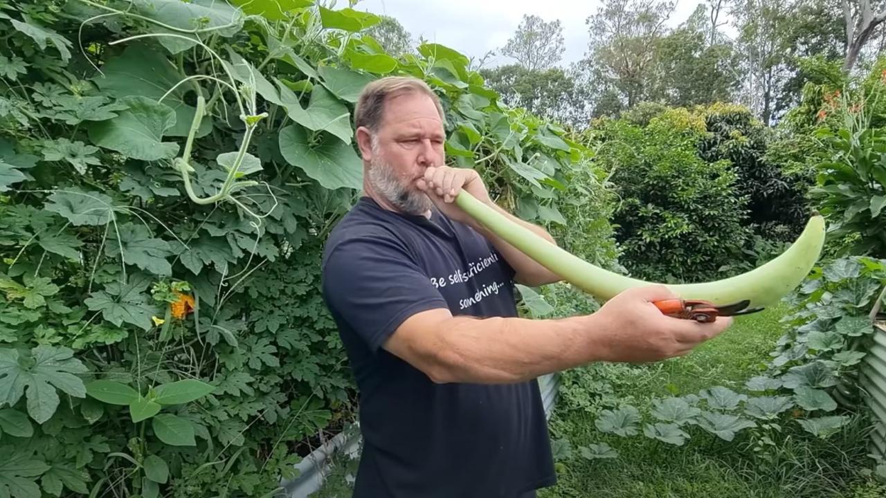 Mark Valencia shares tips for growing fruit and vegetables on his YouTube channel Self Sufficient Me. Picture: YouTube / Self Sufficient Me