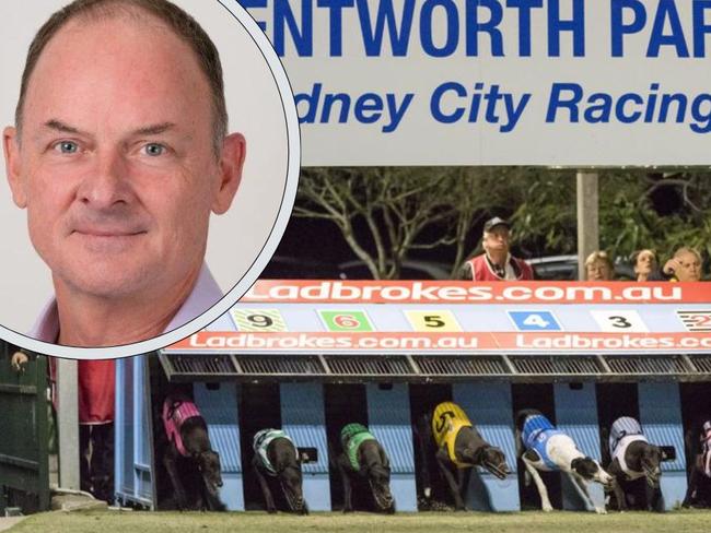 ‘Conflict of interest’: Greyhound watchdog boss sidelined