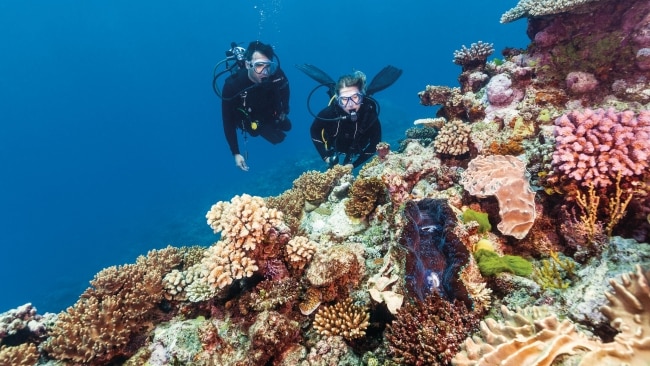 Review of Reefsleep on Great Barrier Reef | escape.com.au