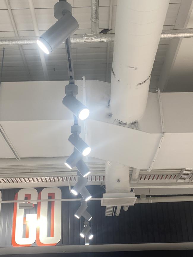 Birds in the rafters at the Coles in Rundle Place over the bakery section.