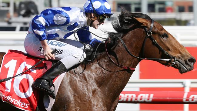 Caulfield Cup 2017: Stayers jostle for Caulfield Cup exemption in ...