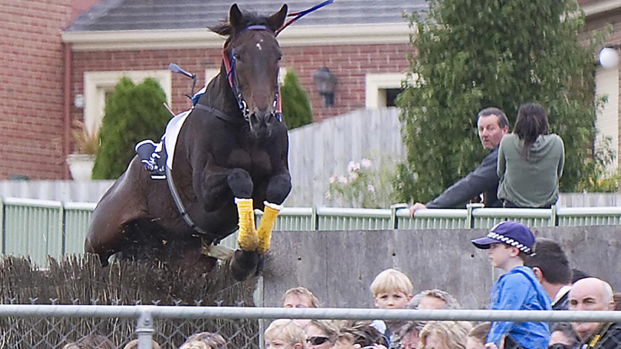 Warrnambool May Racing carnival. Race 6. Banna Strand jumps a 3m fence into the croud watching the Flying Horse Bar & Brewery grand annual steeplechase at the Tozer road double.