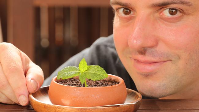 Jared Peck, owner of Doko Demo V at Miami, have come up a dessert that looked like a pot plant. Picture Glenn Hampson