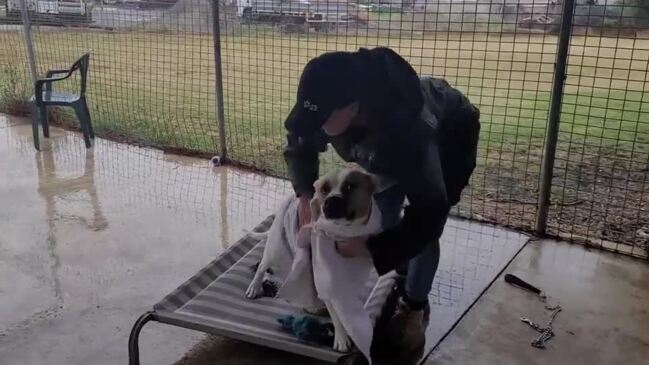 RSPCA Shelter flooding