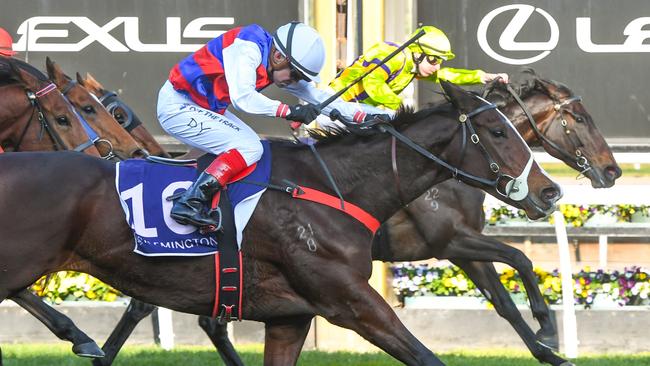 Getting back to 1400m could be the key to Cindy Falls winning again. Picture: Brett Holburt/Racing Photos via Getty Images