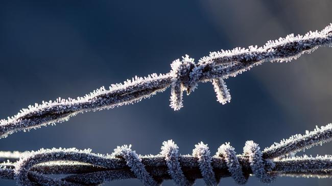 Cold conditions as well as rain has been received in the past seven days. Picture: Zoe Phillips