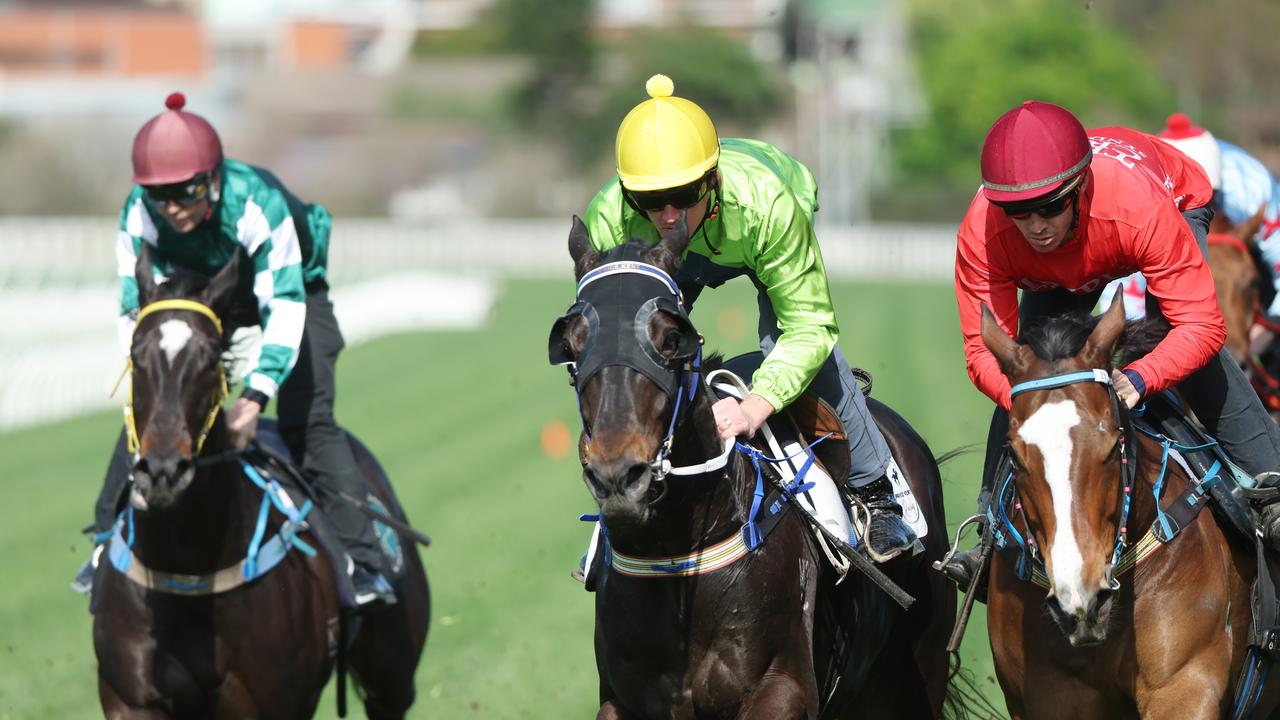 Shayne O’Cass’s tips, analysis for Randwick on Saturday