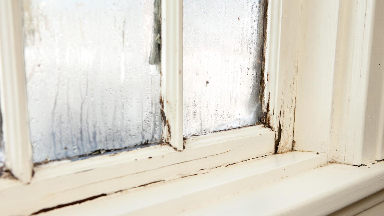 Excessive rain creates the perfect conditions for mould to grow inside homes. Picture: iStock.