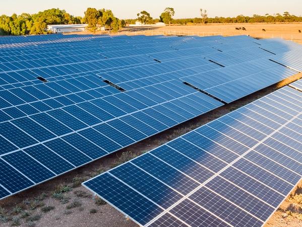 The University of Adelaide has built a solar farm at its Roseworthy campus.It opened on 20 May 2021. Picture supplied by the University of Adelaide.