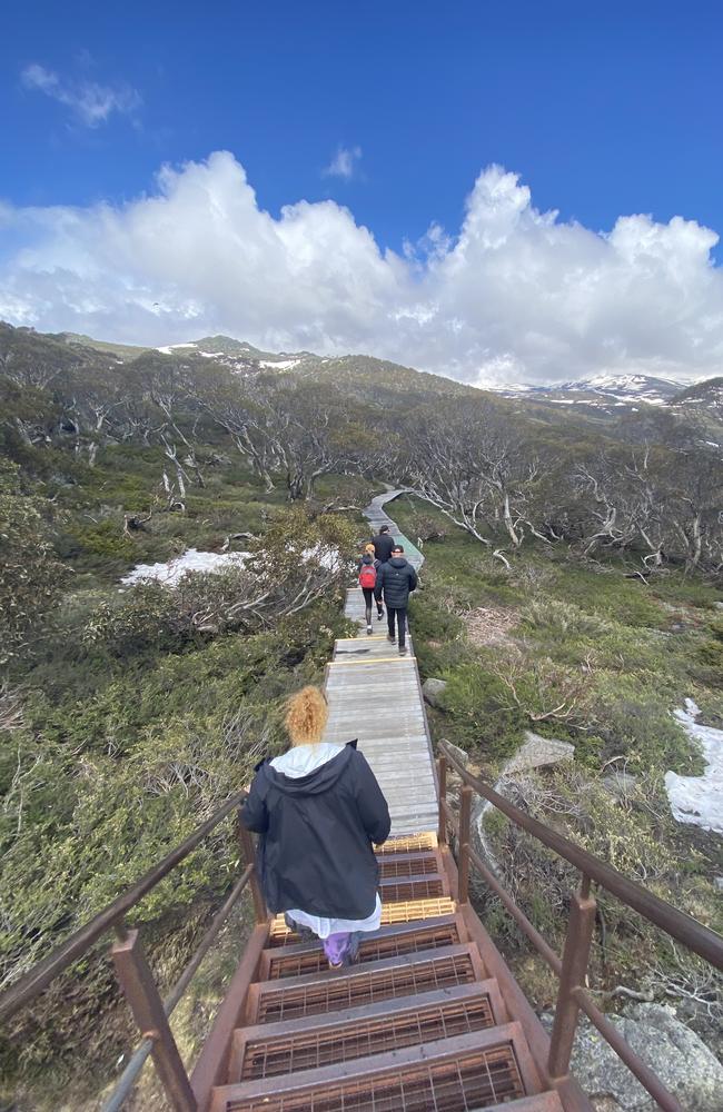 Blue skies in the Snowy Mountains. Picture: Natalie Wolfe/news.com.au