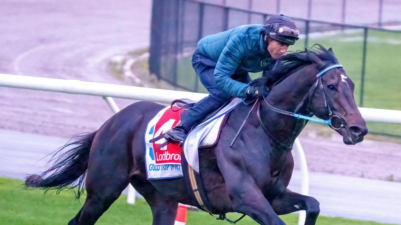 Moonee Valley trackwork