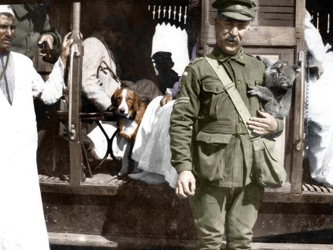 By gum it’s odd ... locals gape at an Aussie corporal holding a pet koala in Cairo.