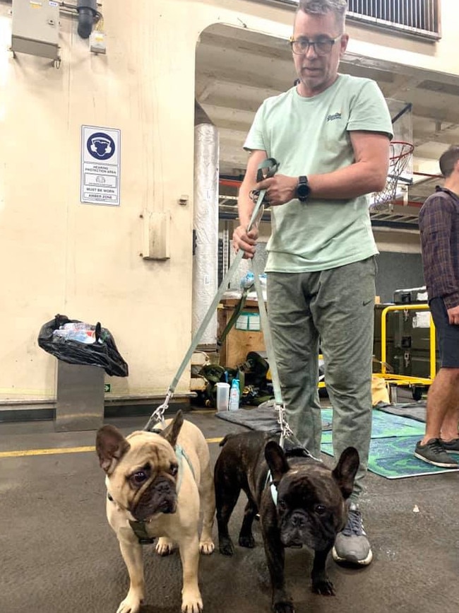 The ship’s vehicle bay was full of dogs. Pictures: Kristine Daniels/Facebook