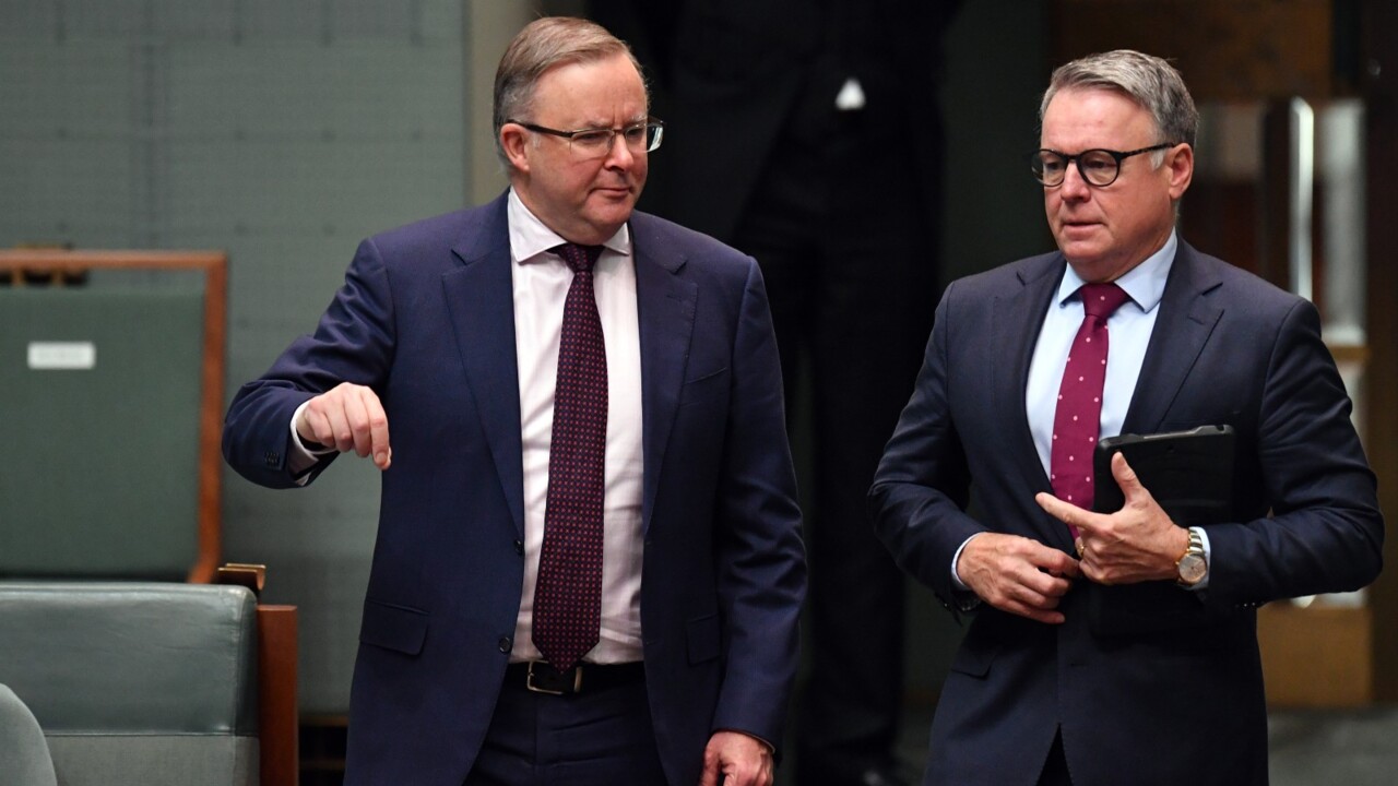 Shadow Cabinet 'descended into a shouting match' between Albanese and Fitzgibbon