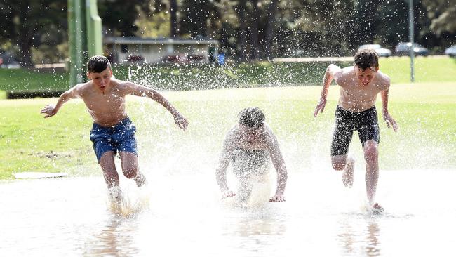 Flood water on the Barwon River Geelong. Picture David Smith.