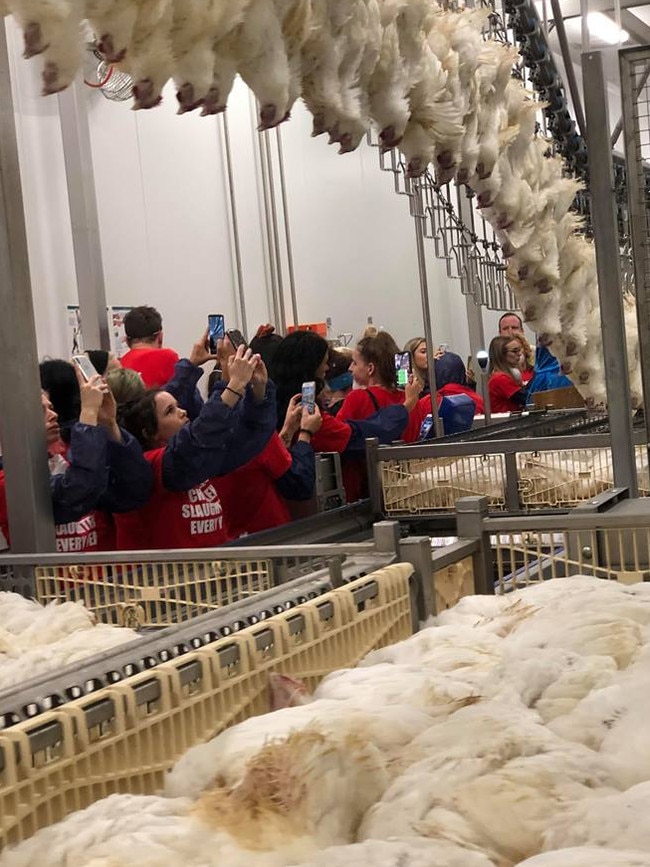 protesters at the Mt cotton Golden Cockerel site. 