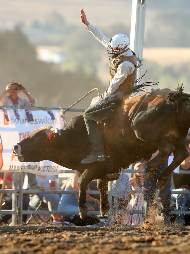 Jesse Pendergast in the 2nd Division Bull Ride. Picture Yuri Kouzmin