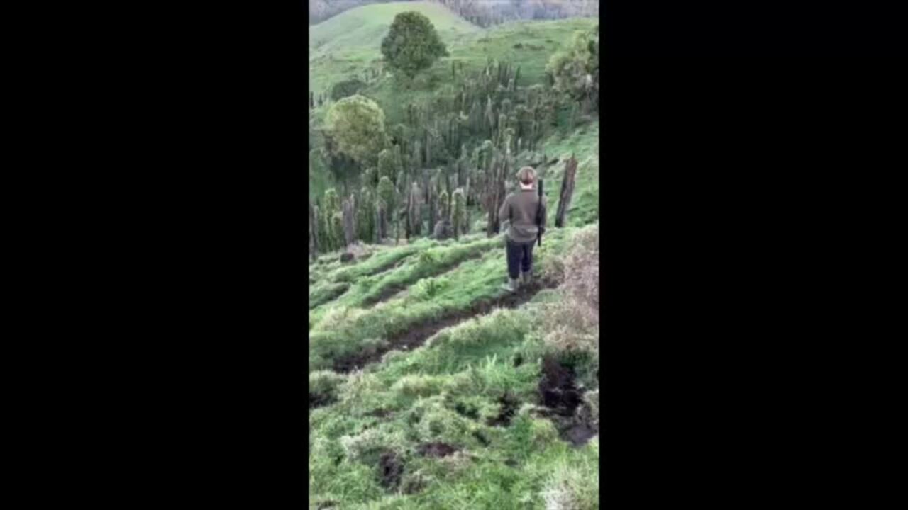 Fugitive Dad and 3 Kids Caught on Camera in New Zealand Wilderness