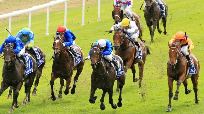 Swear ridden by Christian Reith won on debut at Hawkesbury