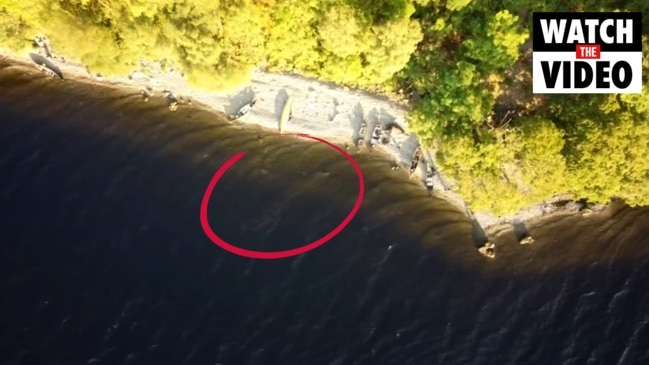 YouTuber claims he captured the Loch Ness Monster on camera