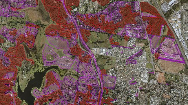 State Government says the new koala habitat mapping released shows areas in purple, including the Lakeside Raceway and housing estates, that have been removed. The red areas show the new habitat modelling.