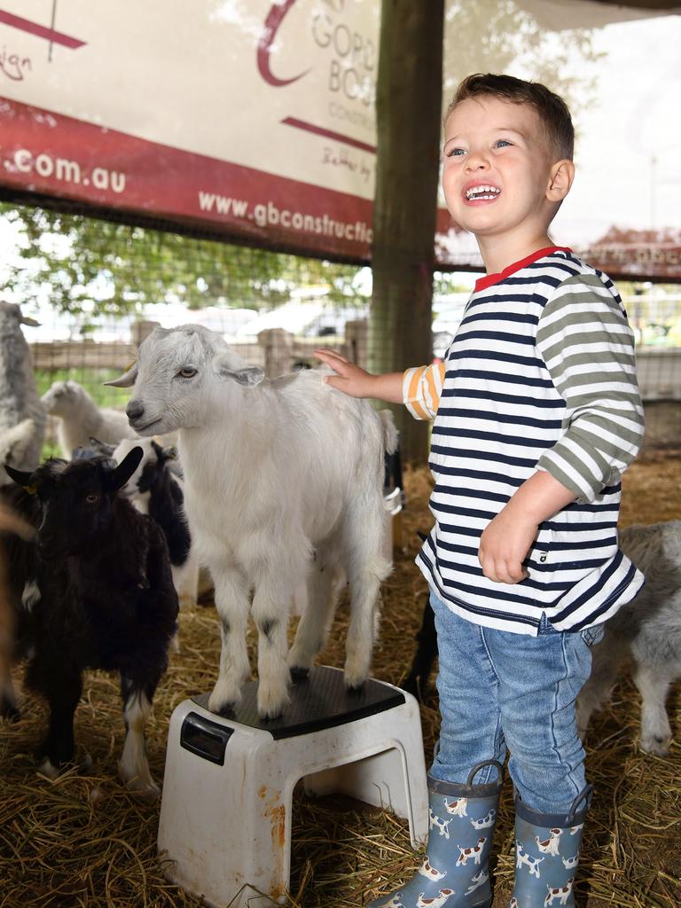 Fletcher Miller enjoys the petting zoo. Heritage Bank Toowoomba Royal Show. Sunday March 27, 2022