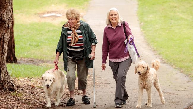 Dog walkers at Simpson Park say there have been regular dumpings of human excrement found as well as a dog treat filled with snail bait.