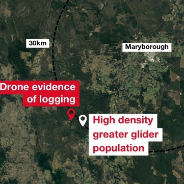 A map of logging near glider territory.