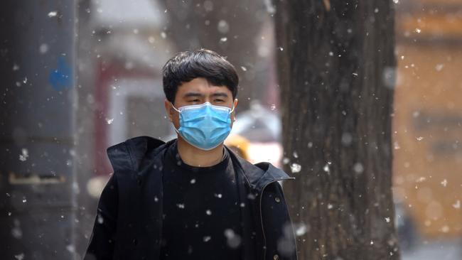 A man is surrounded by catkin fluff from millions of poplar and willow trees in Beijing. Picture: AP