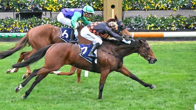Shockletz arrived in time to win at Flemington. Picture: Reg Ryan/Racing Photos via Getty Images