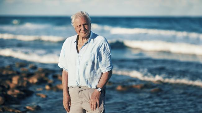 Sir David Attenborough in his <i>Blue Planet II </i>series. 