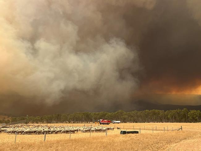 Supplied picture of the Grampians fire. Picture: CFA