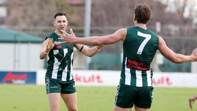 Brendan Godden and Tyson Young celebrate a goal.Picture: George Salpigtidis