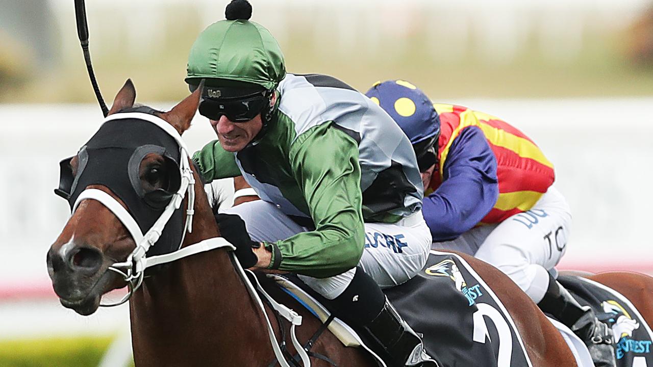Everest winner Yes Yes Yes will target the TJ Smith Stakes in the autumn. Picture: Getty Images