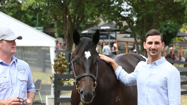 Gold Coast trainer Michael Costa (right) with Brazen Beau colt and Paul Knight from Orbis Bloodstock. Picture: SUPPLIED