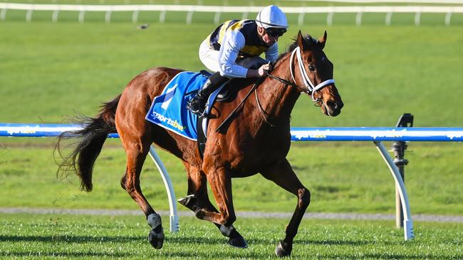 Amade, ridden by Daniel Stackhouse, dashes clear to win the Sandown Cup at Sandown on Sunday. Picture: Pat Scala / Racing Photos