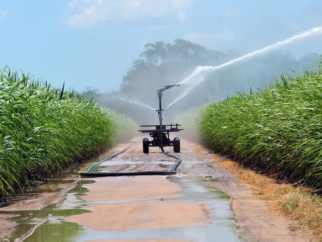 WATERING CANE: Industrial size sprinklers irrigate a cane farm on Goodwood Road.Photo: Max Fleet / NewsMail