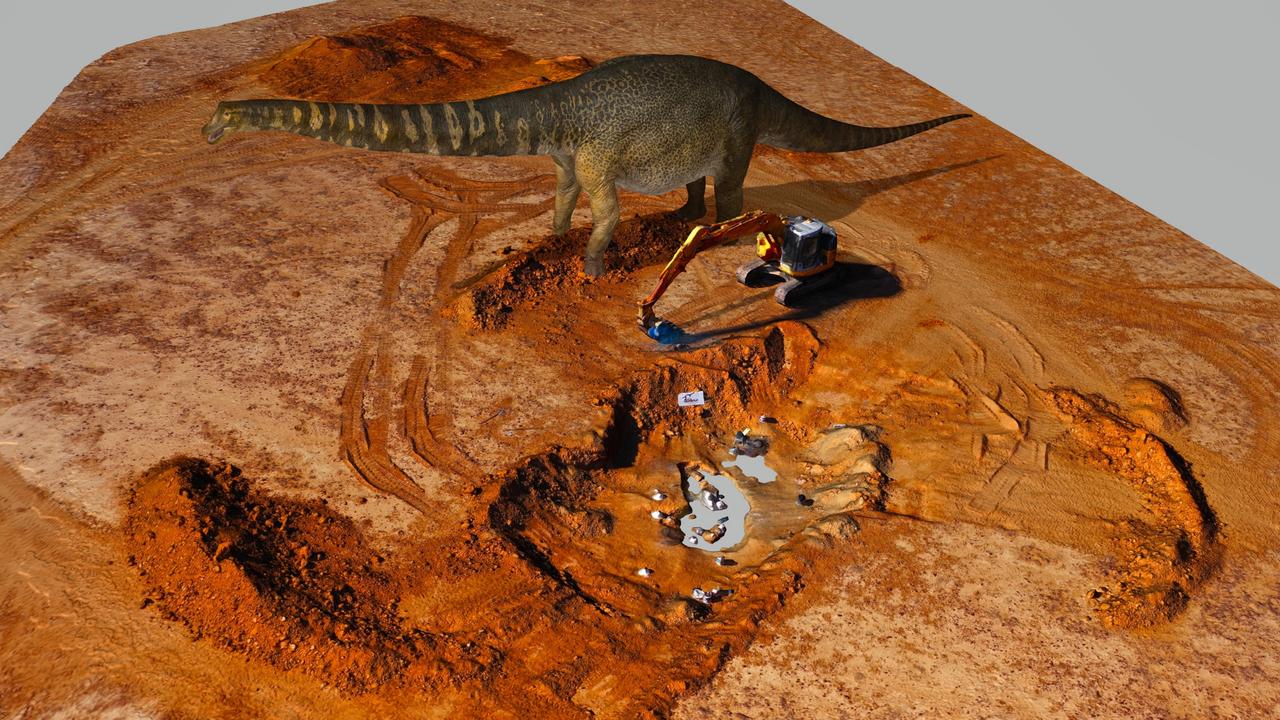 Australotitan Cooperensis Named Australia’s Largest Dinosaur After ...