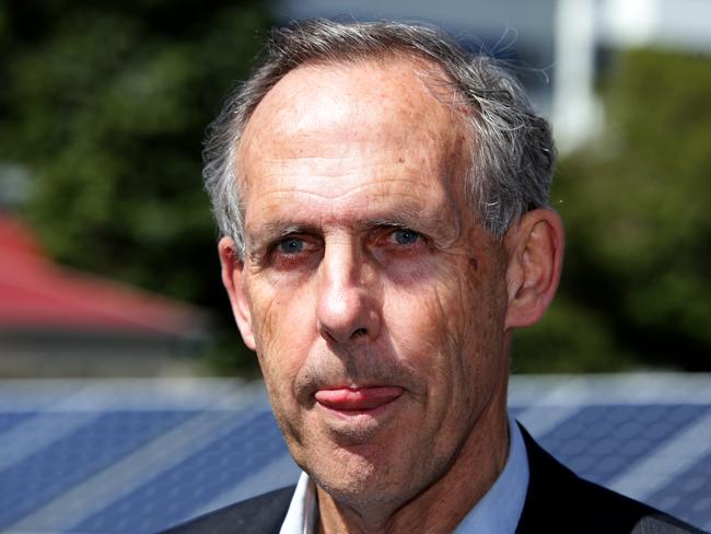 Dr Bob Brown, the former leader of the Australian Greens had been with the party for 20 years.