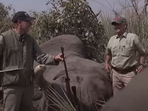 NRA leader in ‘sickening’ elephant video