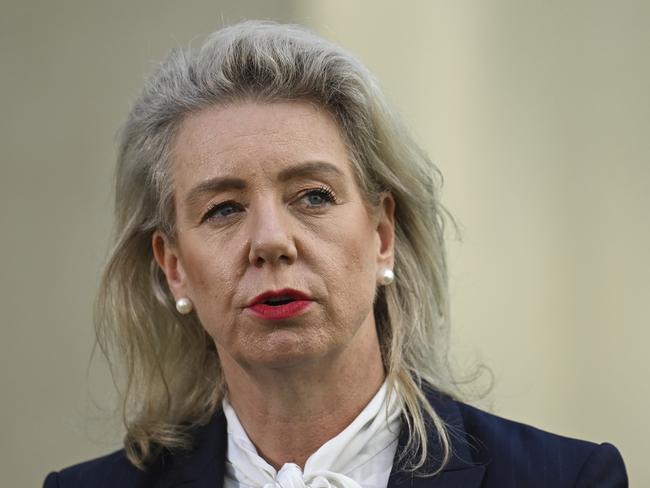 Senator Bridget McKenzie has accused the federal government of not taking the blame for project cancellations. Picture: Martin Ollman