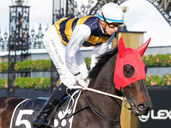 Warmonger (NZ) on the way to the barriers prior to the running of  the Crown Makybe Diva Stakes at Flemington Racecourse on September 14, 2024 in Flemington, Australia. (Photo by George Sal/Racing Photos via Getty Images)